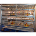 H Type Automatic Broiler Chicken Birds Poultry Cage